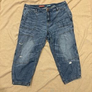 Anthropologie Pilcro Denim Blue Jeans Pants Stretch in Waist Size 20W Plus